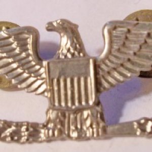 eagle pin.jpg