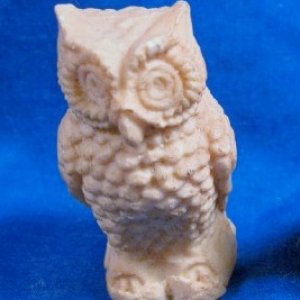 bone owl.jpg