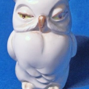 owl3a.jpg