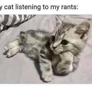 mycatlistening.jpg