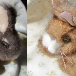 bunny dolls.jpg