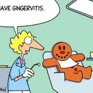 gingervitis.jpg