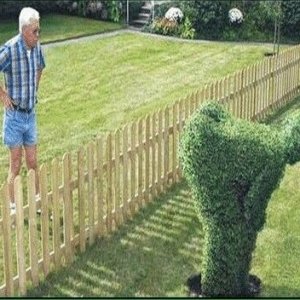 goodneighbor.jpg