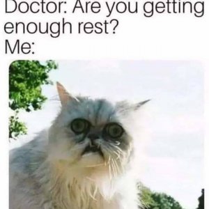 enoughrest.jpg