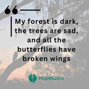 myforestisdark.jpg