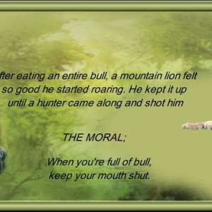 keepmouthshut.jpg