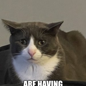 myfeelings.jpg