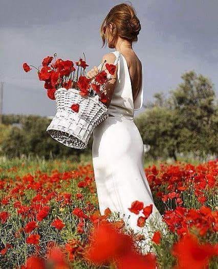 0 0 0 0 0 a a b b bo morning flowers in red