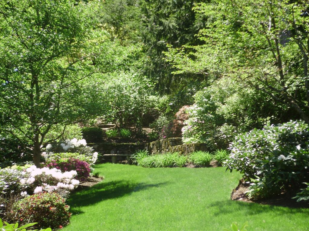 0 0 0 0 a a b b blossoms garden zen