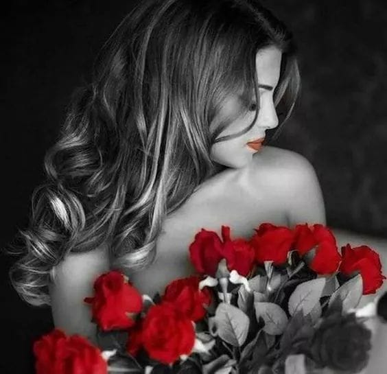 0 0 0 0 a a b b bo morning flowers for you