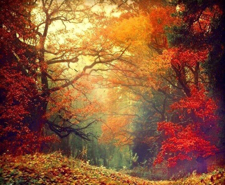 0 0 0 0 a a b b follow me autumn 2