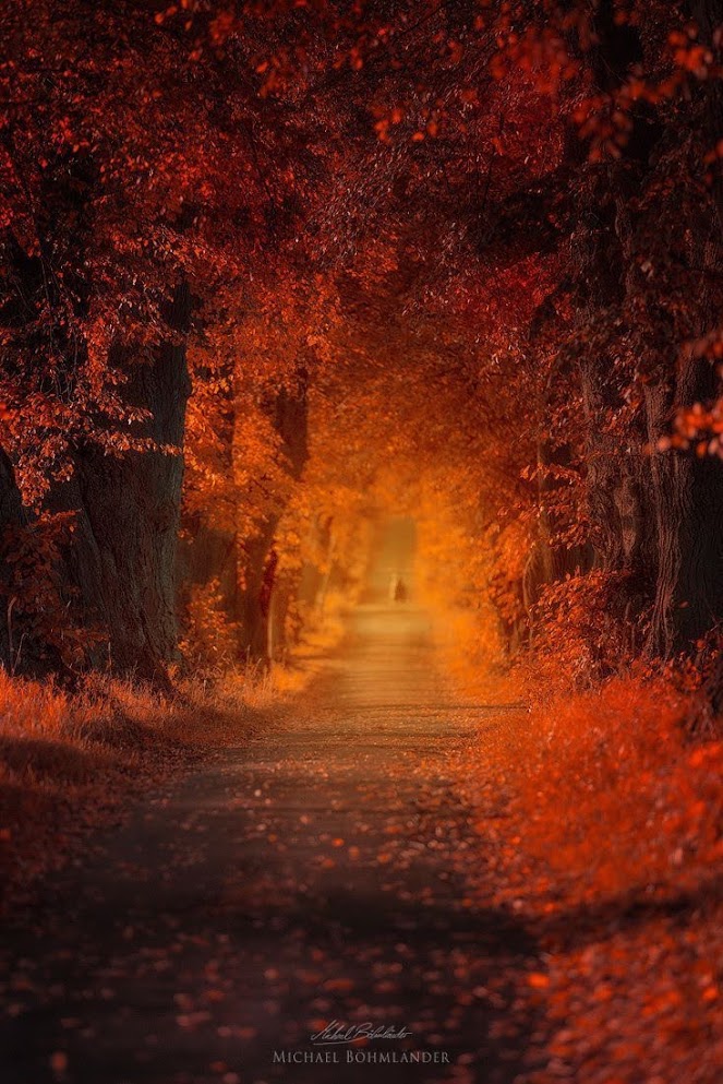 0 0 0 0 a a b b follow me autumn 4