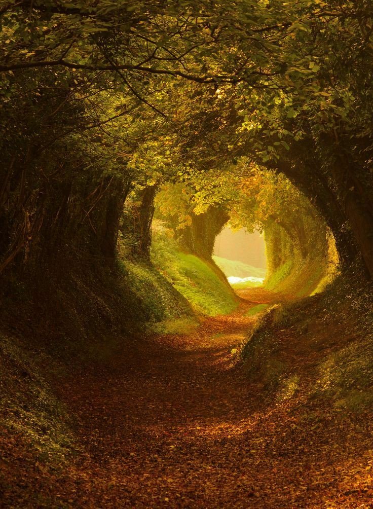 0 0 0 0 a a b b follow me autumn 5