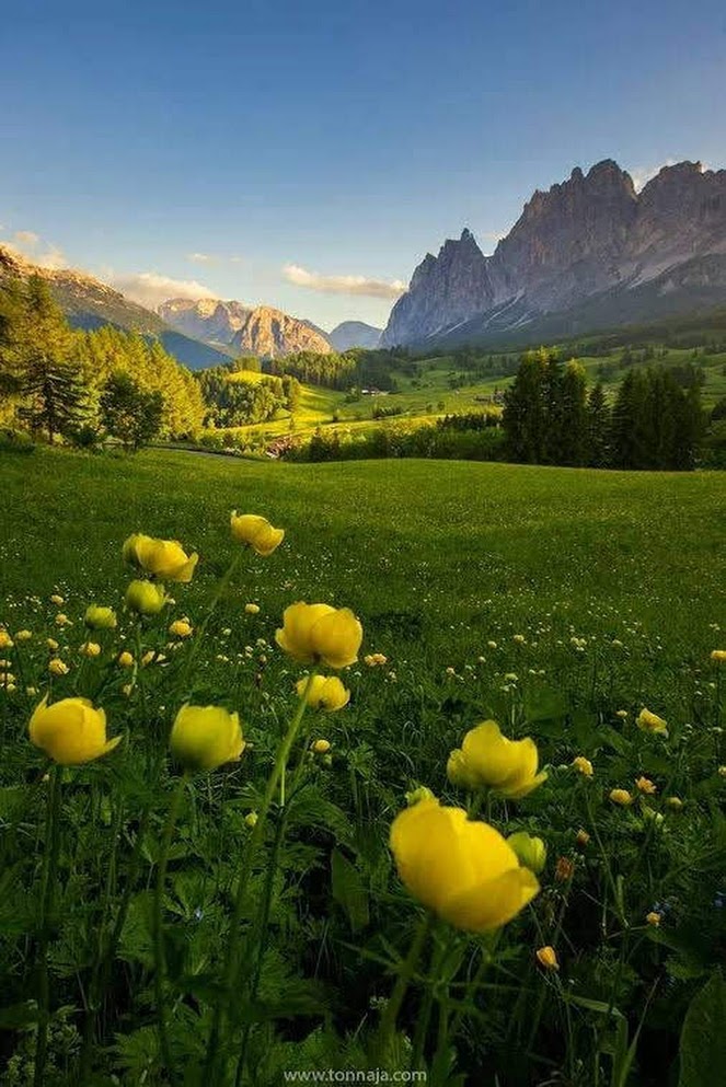 0 0 0 0 a a b b follow me field