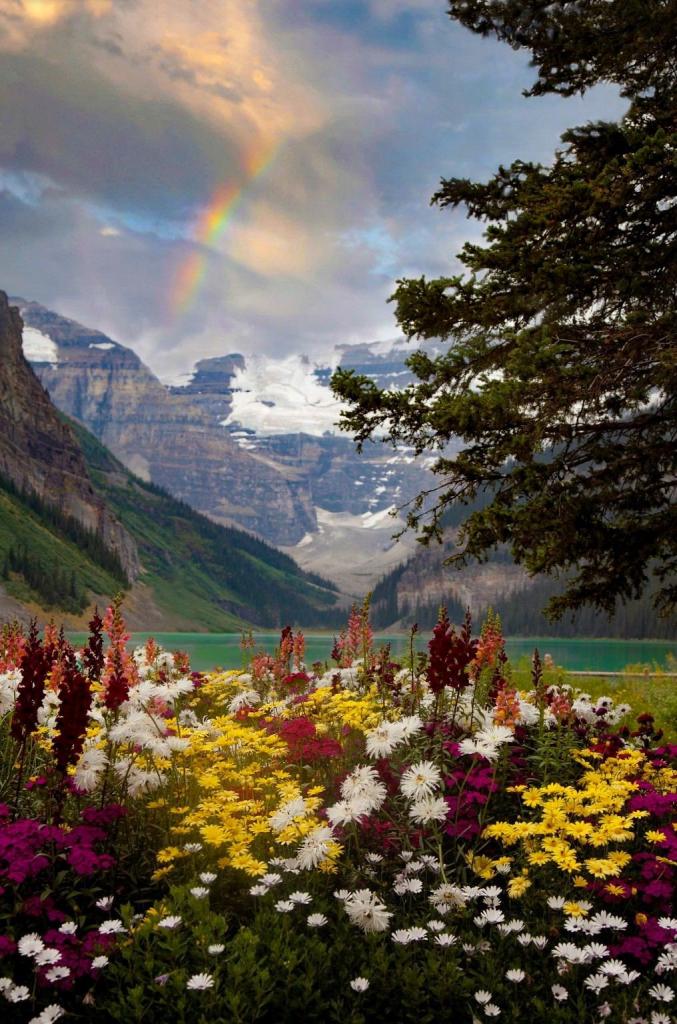 0 0 0 0 a a b b follow me flowers