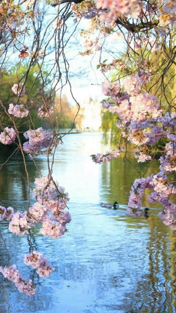 0 0 0 0 a a b b follow me waterway 2