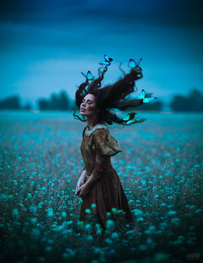 0 0 0 0 a a b b good night blue butterflies