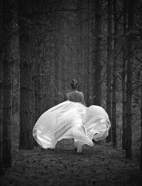 0 0 0 0 a a b b good night bw forest path