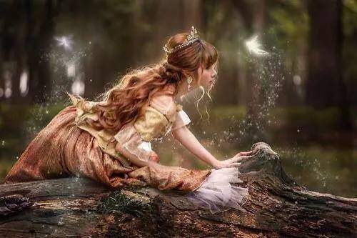 0 0 0 0 a a b b good night faeries in wood