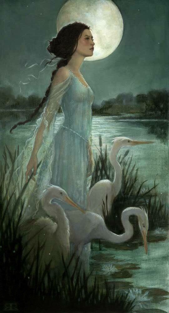 0 0 0 0 a a b b good night swan moon