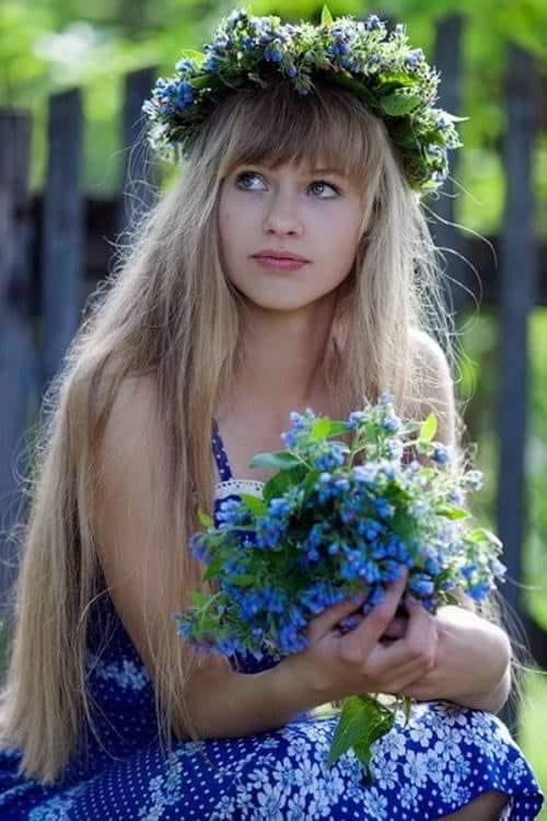 0 0 0 0 a a b bmorning cornflowers