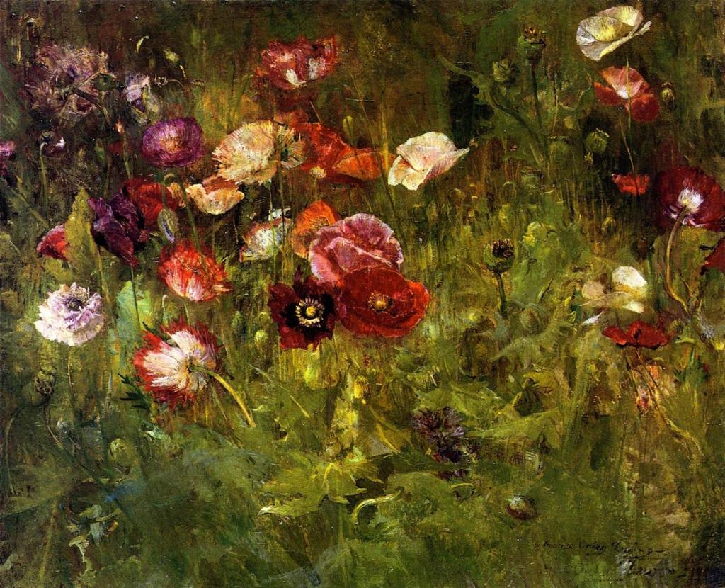 0 0 0 a a A bed of poppies maria oakey dewing