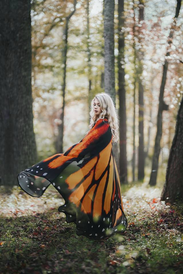0 0 0 a a b b butterfly morn night