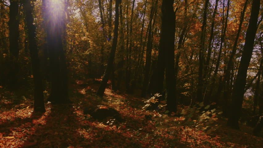 0 0 0 a a b b follow me autumn 3