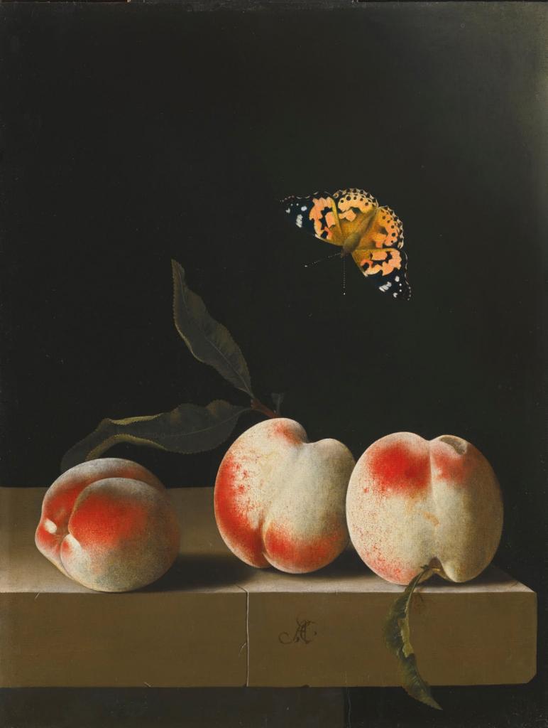 0 0 art art adriaen coorte three peaches on a stone ledge with a painted butterfly 1665 1707