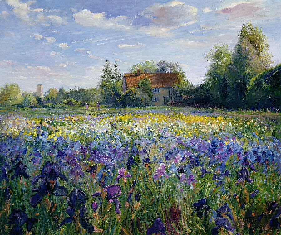 0 0 art easton, timothy evening in the iris field