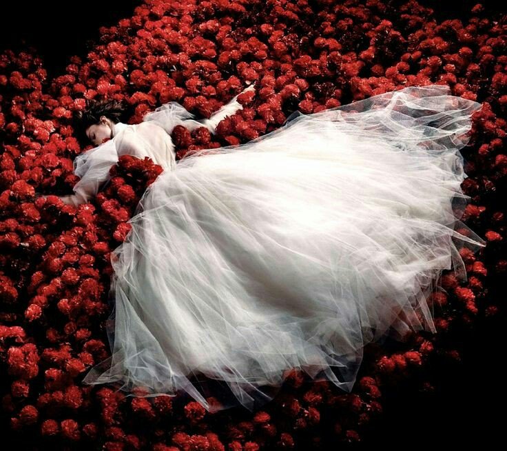 0 0 art good night red flowers