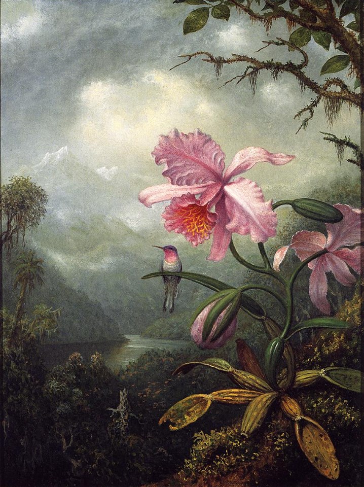 a a a a art query martin johnson meade