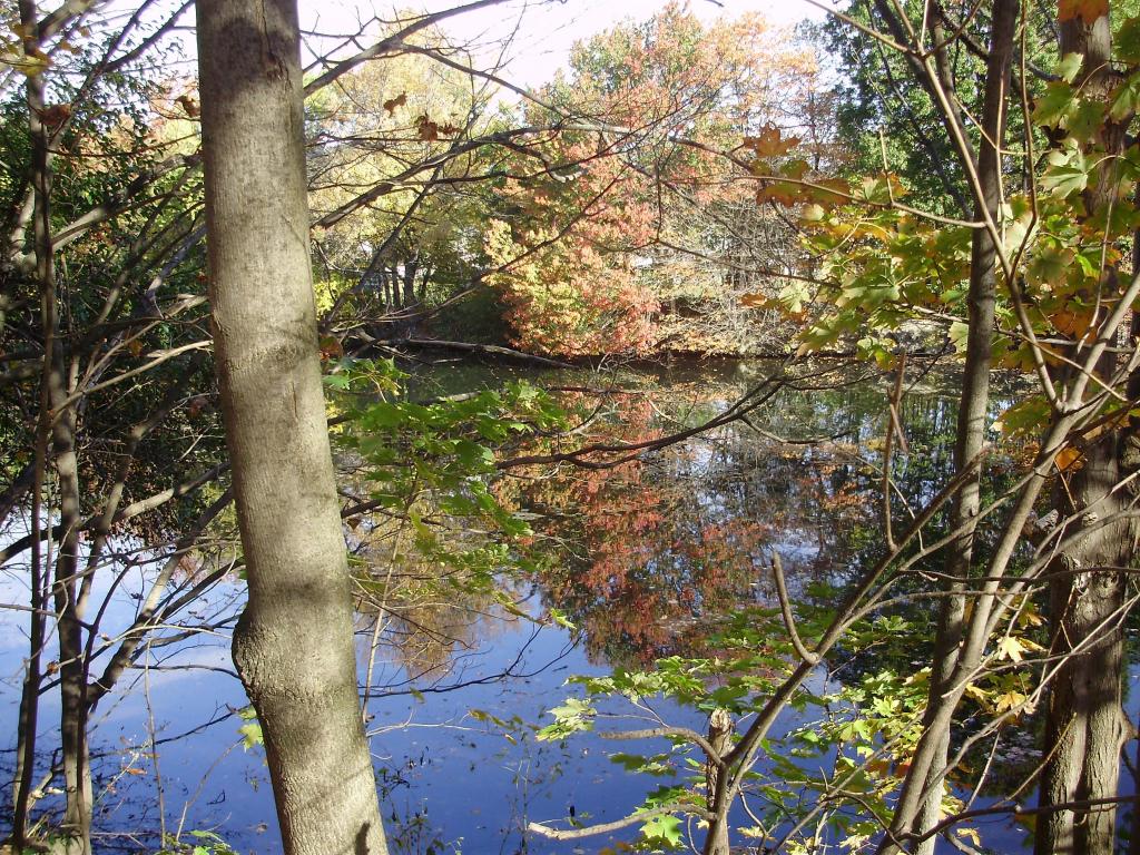 a a a a autumn reflections 2 B