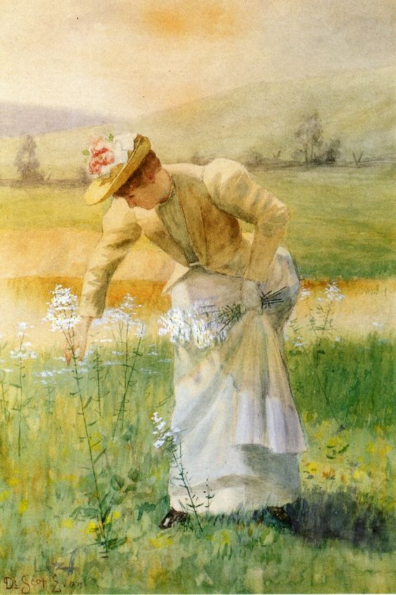 a a a a de scott eveans picking wildflowers