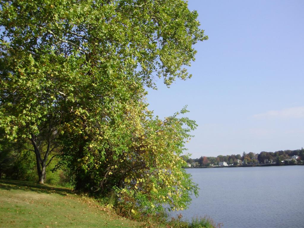 a a a a early autumn color 1