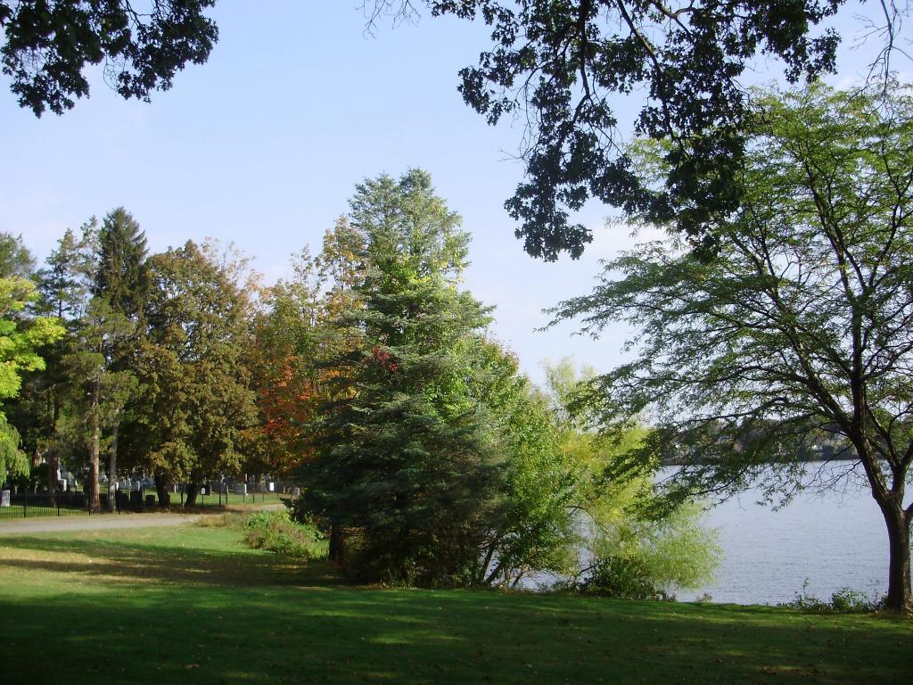 a a a a early autumn colorful trees wide