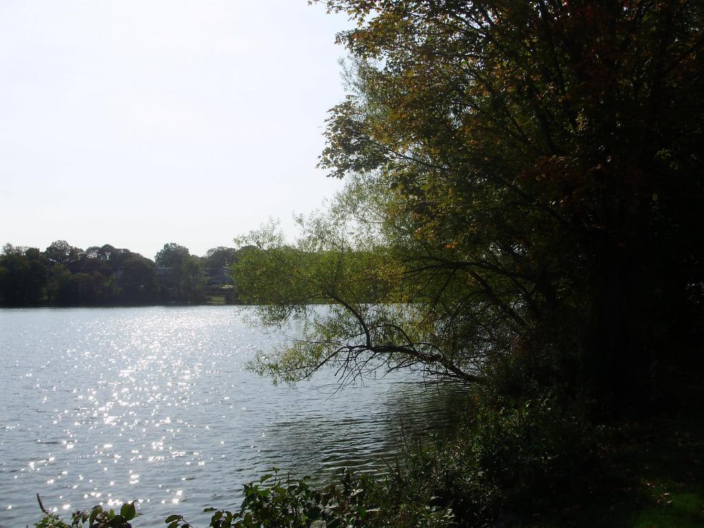 a a a a early autumn sunlight on ripples B