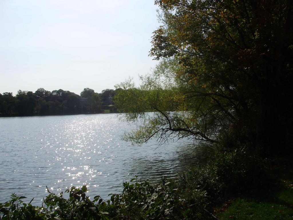 a a a a early autumn sunlight on ripples