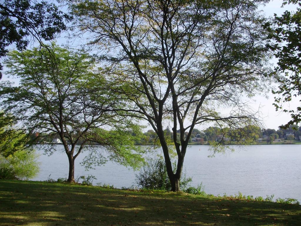 a a a a early autumn trees and shore 1