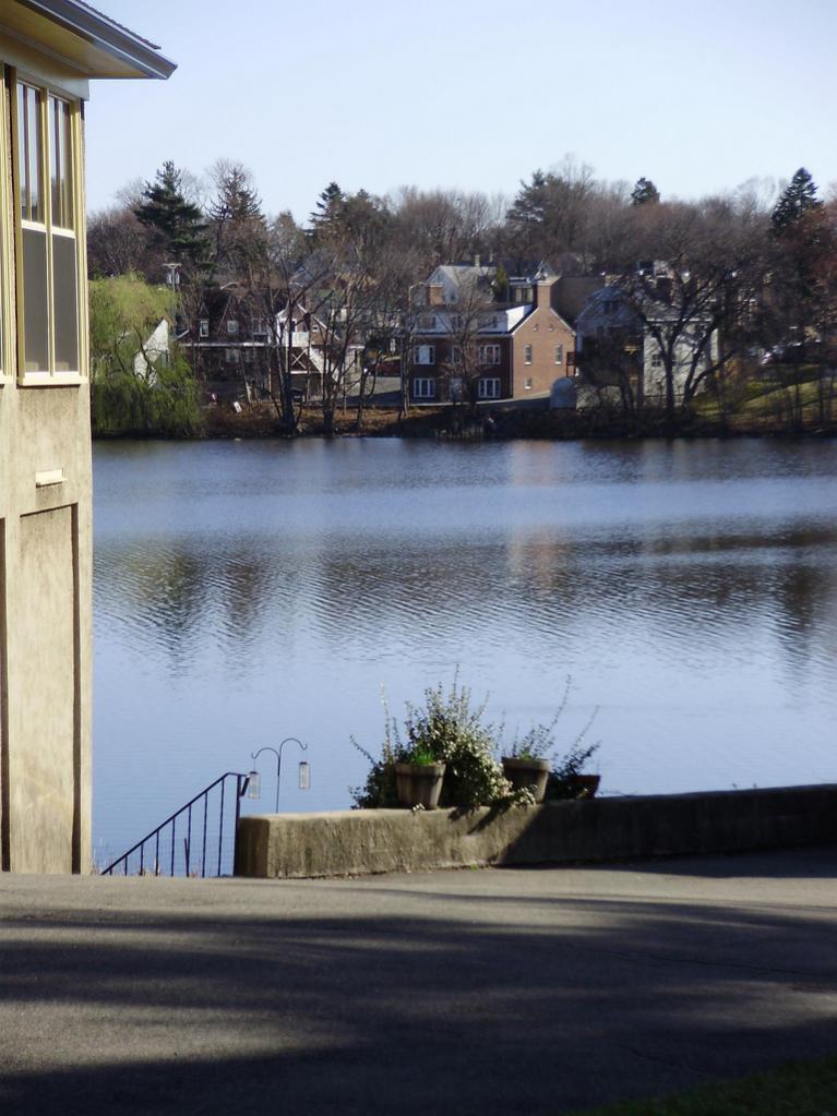 a beautiful angle shot of a pond