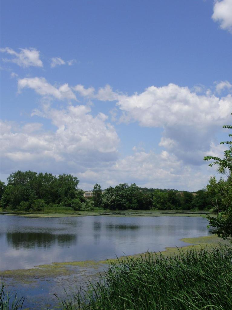 a beautiful clouds over the pond 2