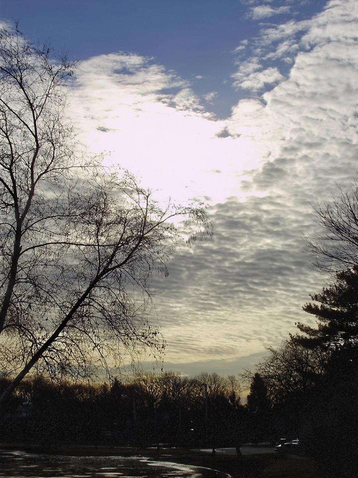 a early springby thelake