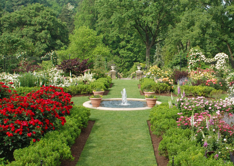 a garden VB