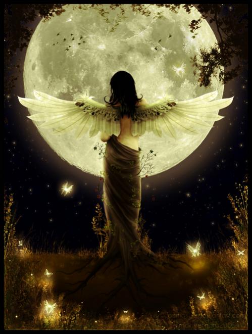 a good night pic moon and faeries