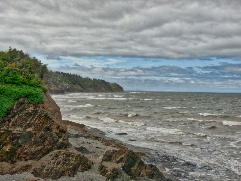 A Windy Day