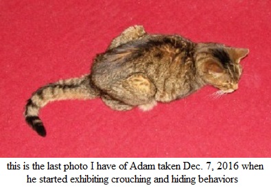 Adam Dec7.jpg