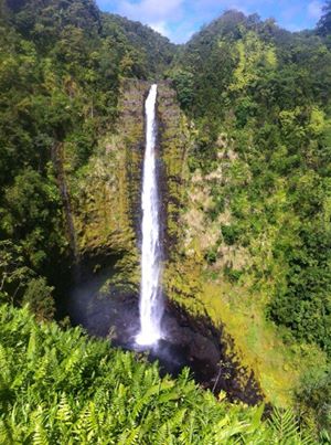 akaka falls big island
