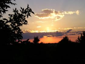 Another back yard picture.