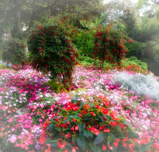 Beacon Hill Park