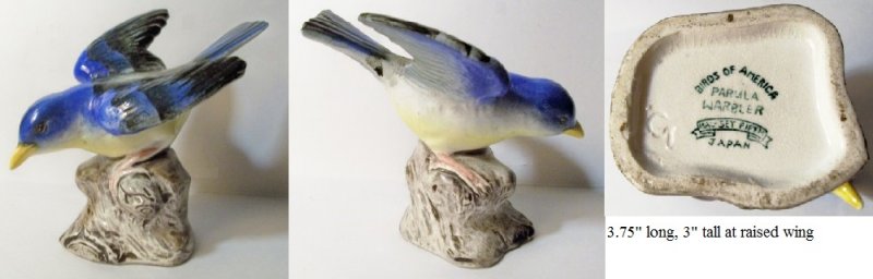 bird12.jpg